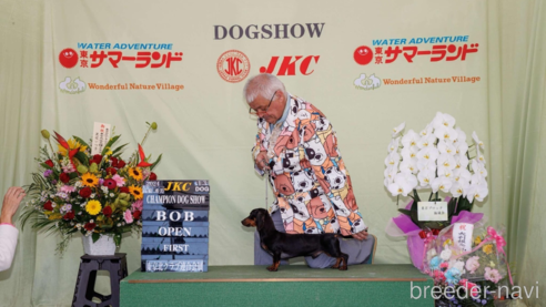 JKCチャンピオン　マジック（モルドヴァチャンピオン直子）くん1枚目