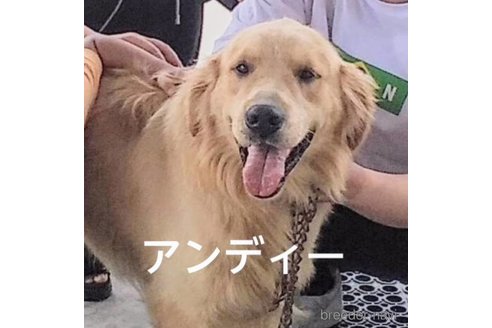 アンディー君くん1枚目