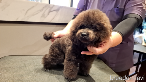 おやじくん1枚目
