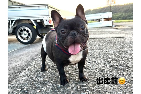 ニコちゃん1枚目