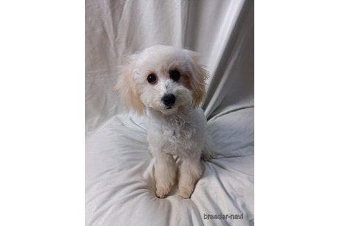 シドちゃん1枚目