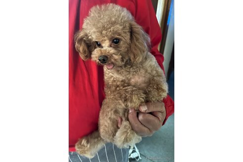 ソラくん1枚目