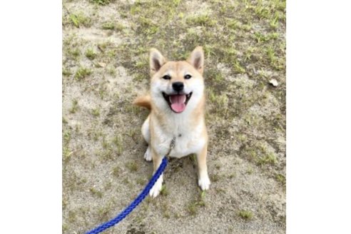 たらこちゃん1枚目