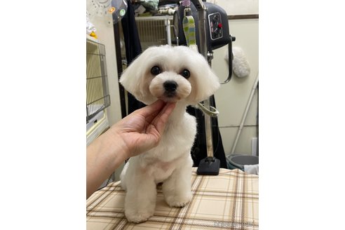 さくらちゃん1枚目