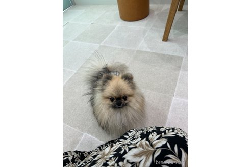 くん1枚目