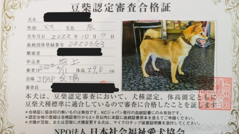 花ちゃん1枚目