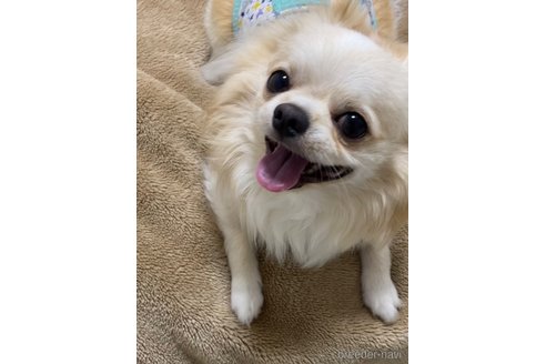 しんのすけくん1枚目