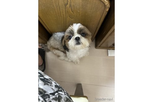 ニコちゃん1枚目