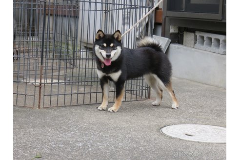ちゃん1枚目