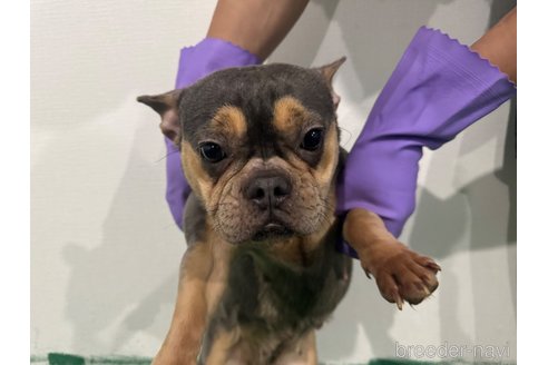 ちゃん1枚目