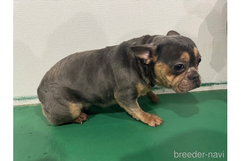 ちゃん1枚目
