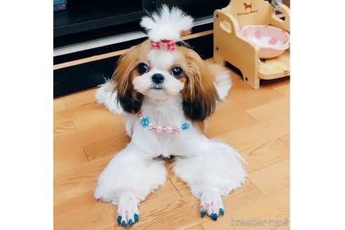 ちゃん1枚目