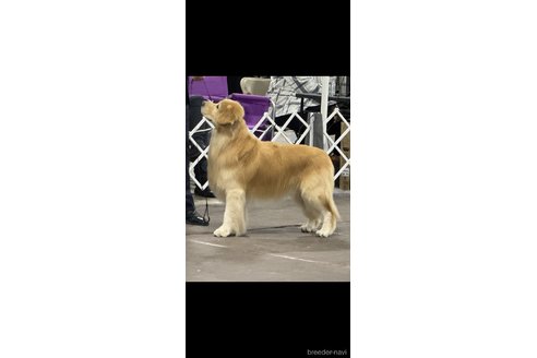 サムくん1枚目
