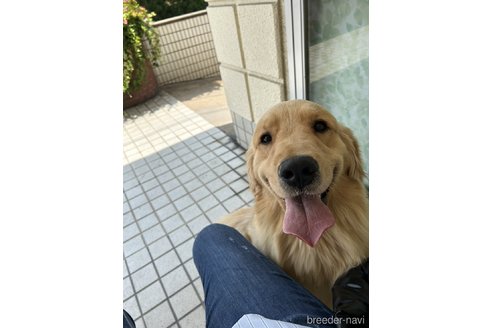 ソフィーちゃん1枚目
