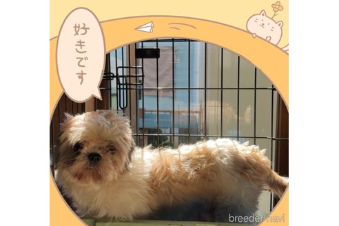 麻団ちゃん1枚目