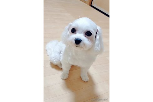 ナルくん1枚目