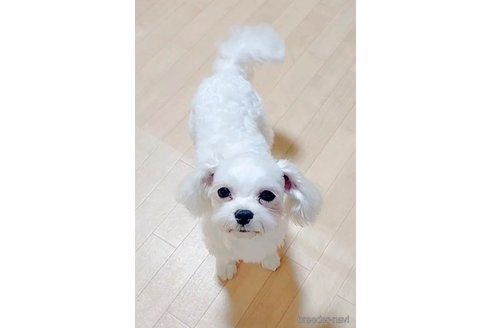 ナルくん1枚目