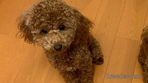 ちゃん1枚目