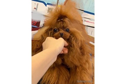 ちゃん1枚目