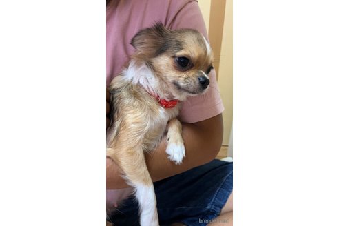 サラちゃん1枚目