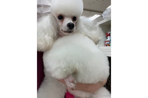 ルークくん1枚目