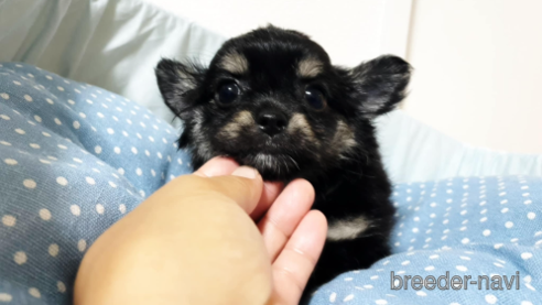 ちゃん1枚目