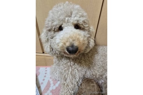 ムックちゃん1枚目