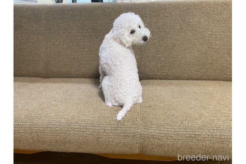 ちゃん1枚目