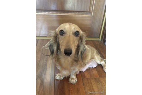 メイちゃん1枚目