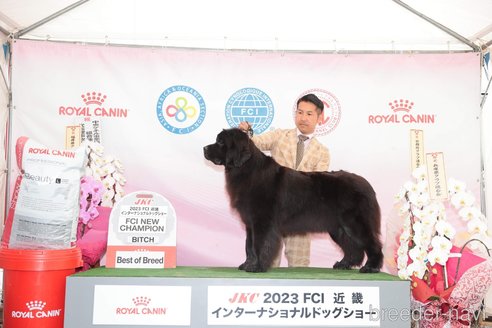 ビビちゃん1枚目