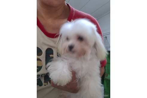 マークアナザーくん1枚目