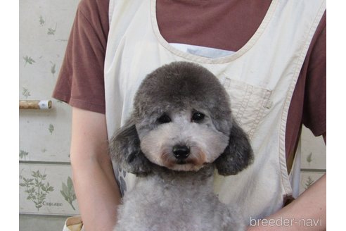 ひみこちゃん1枚目