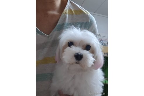 北さんホワイトドットコムちゃん1枚目
