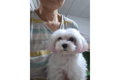 北さんホワイトドットコムちゃん1枚目