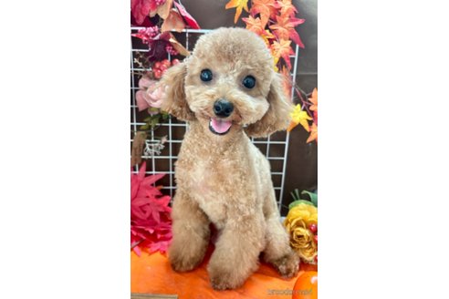 まおちゃん1枚目