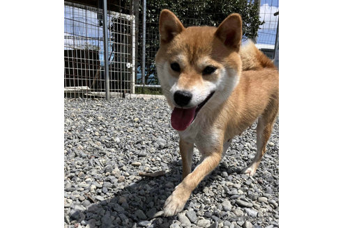 長藤の光里ちゃん1枚目