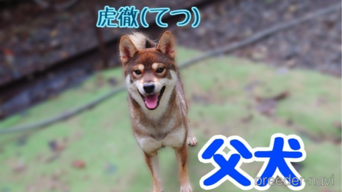 てつくん1枚目