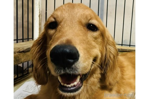 ハルカちゃん1枚目