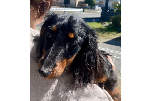ふゆうちゃん1枚目