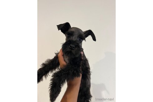 ちゃん1枚目