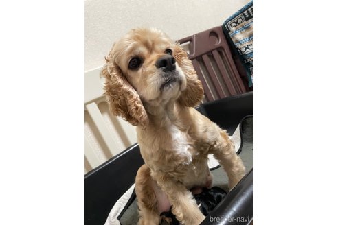 ベルちゃん1枚目