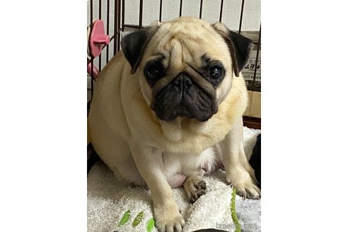 ちゃん1枚目