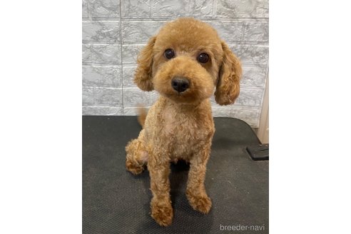 ちゃん1枚目