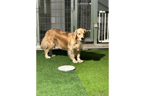 ララちゃん1枚目