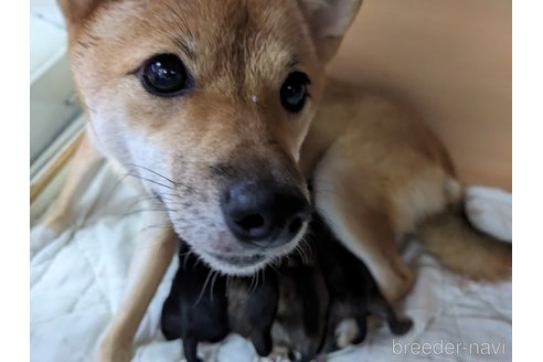 舞ちゃん1枚目