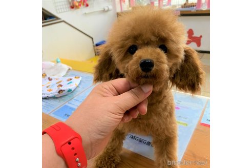 ナギちゃん1枚目