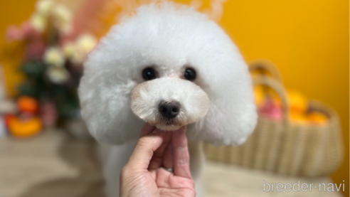 セロリちゃん1枚目