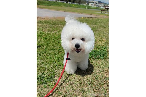 ペコちゃんちゃん1枚目