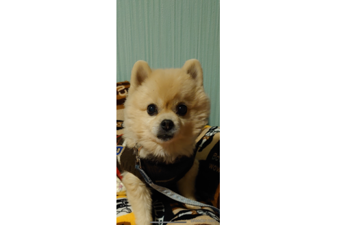 くん1枚目