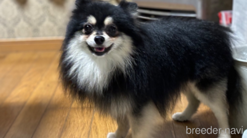 ロイくん1枚目